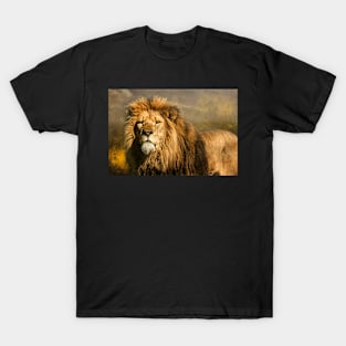 Lion on the alert T-Shirt